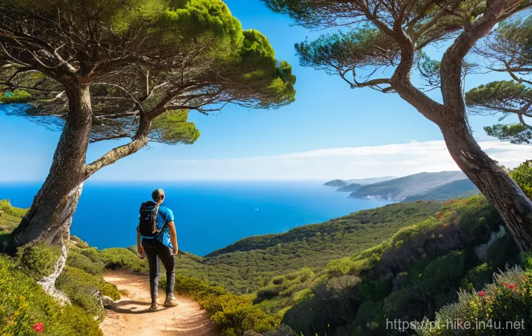 등산과 트레일 러닝의 차이 - **Image Prompt: Reflective Trail Walker in Arrábida**
A lone hiker, wearing practical and comfor...