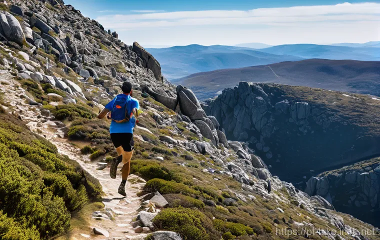 등산과 트레일 러닝의 차이 - **Image Prompt: Reflective Trail Walker in Arrábida**
A lone hiker, wearing practical and comfor... 등산과 트레일 러닝의 차이 - **Image Prompt: Reflective Trail Walker in Arrábida**
A lone hiker, wearing practical and comfor...