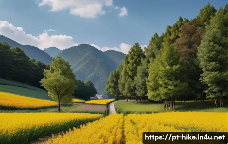 등산용 접이식 의자 추천 관련 이미지 1